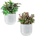 Melphoe Self Watering Pots for Indoor Plants Planter, 5.3 Inch 2 Pack Planters by Melphoe
