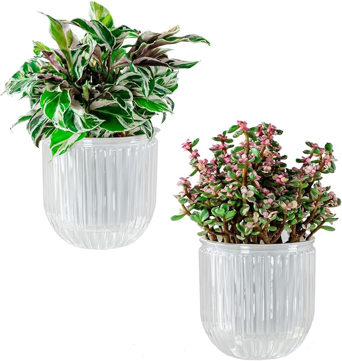 Melphoe Self Watering Pots for Indoor Plants Planter, 5.3 Inch 2 Pack Planters by Melphoe