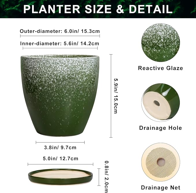 6 Inch Plant Pot - Image 2