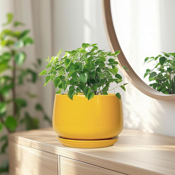 G EPGardening Ceramic Pots for Plants - Image 6