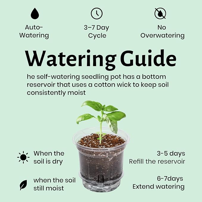 12 Pack 6.5 Inch Clear Self Watering Plant Pots - Image 6