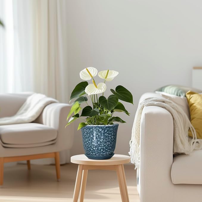 Ceramic Pots for Plants - Image 7