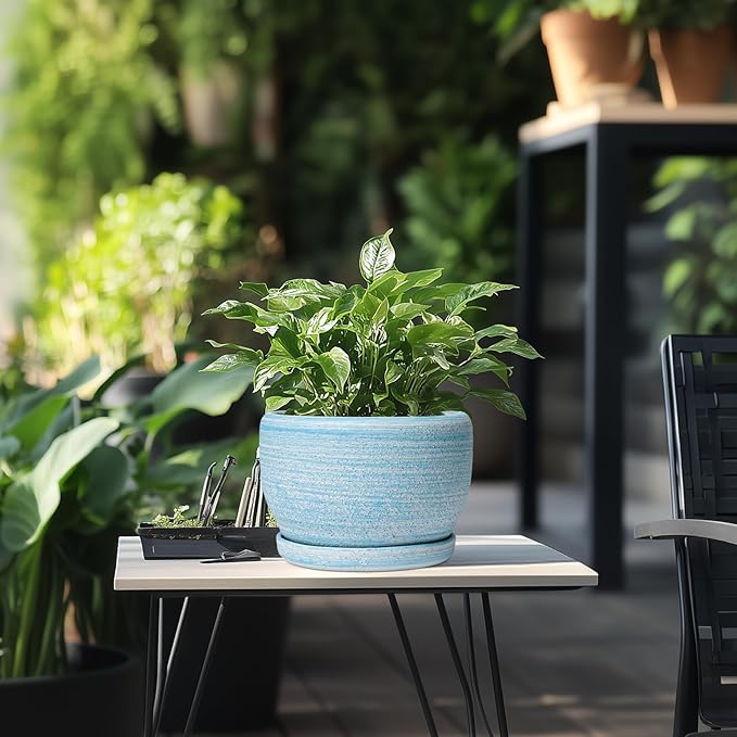 SQOWL Ceramic Planter - Image 5
