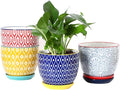 Selamica Ceramic Plant Pots, 5.6 Inch Flower Pots by Selamica