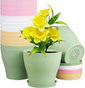 6 inch Plastic Nursery Pots, 16 Pack Plant Pots by Meowell