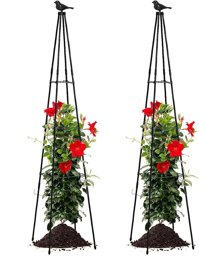 Cucumber Trellis, 2 Pack - Image 8