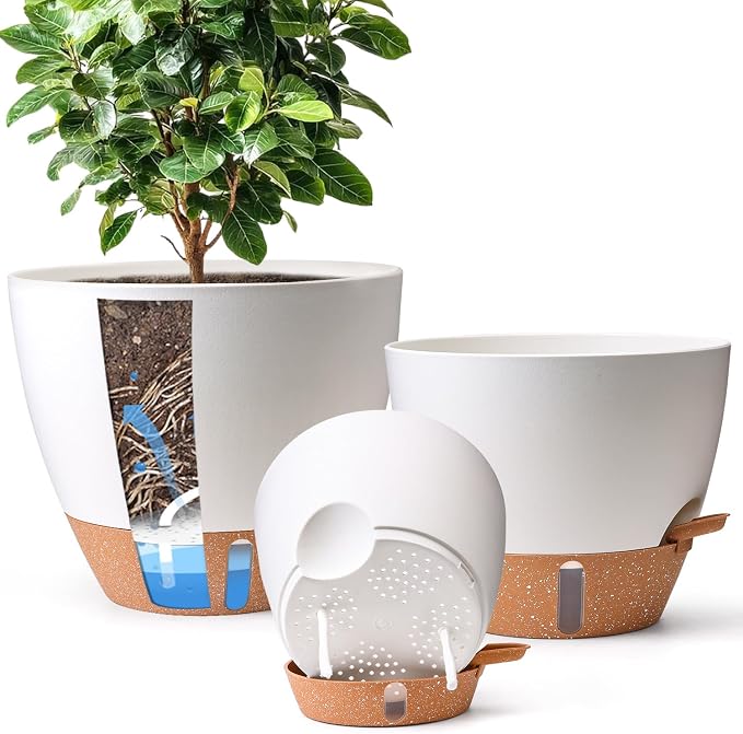T4U 3 Pack Self Watering Pots by T4U