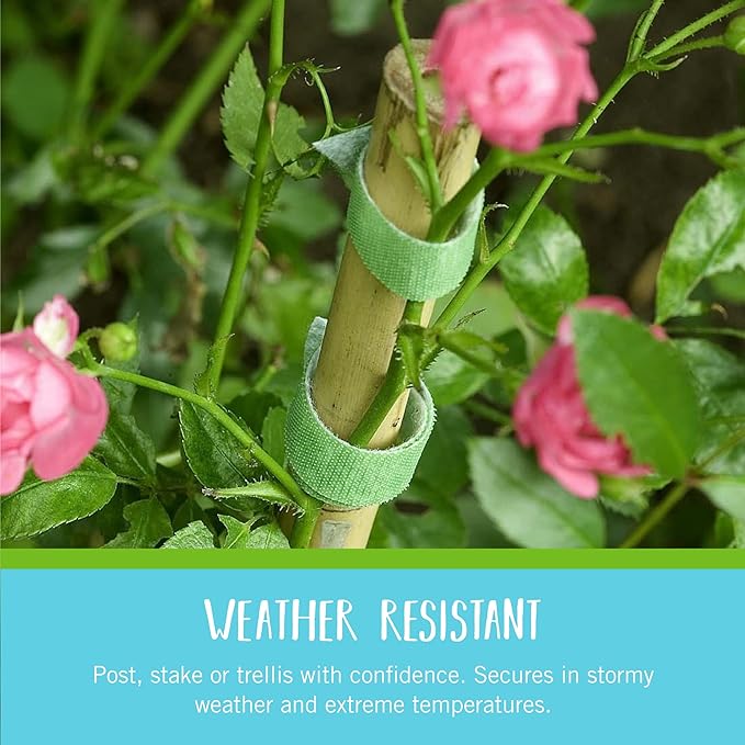 Velcro Brand Adjustable Plant Ties | 75 ft x 1/2 in Green Garden Tape | Reusable - Image 3