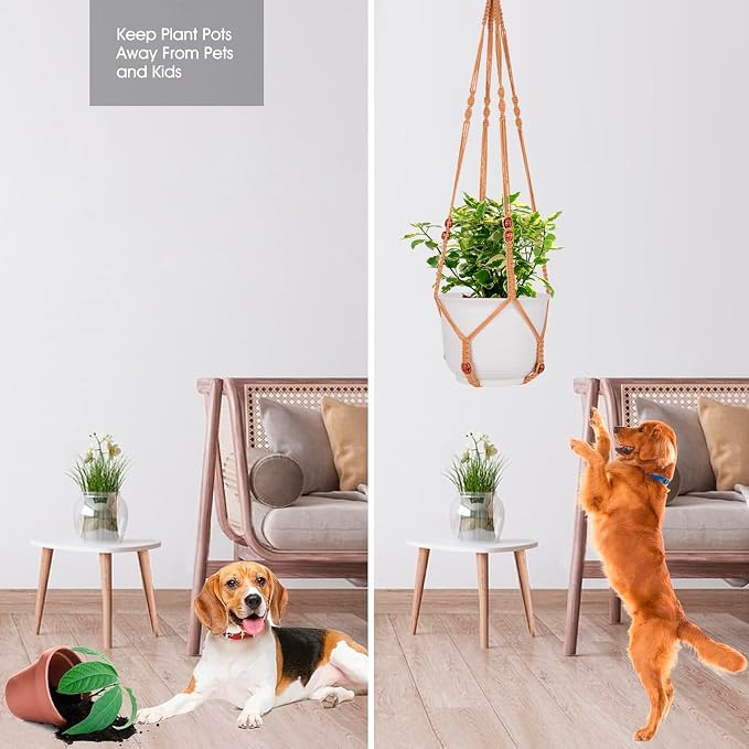Macrame Plant Hanger for 5 to 10 Inch Plant Pots, Hanging Planter Basket Holder - Image 8