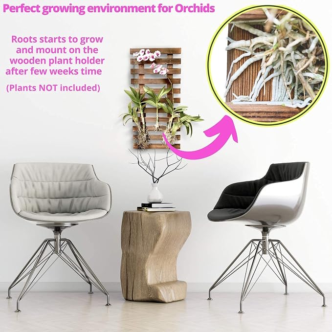 ShopLaLa Wall Planter - Image 6