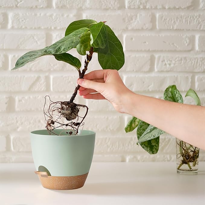 Self Watering Planter Pots Set of 5 - Image 6