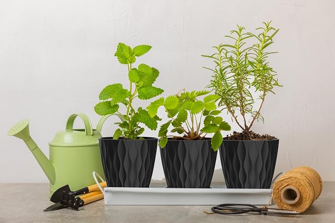 6 Inch Plant Pots, 6 Pack Indoor Flower Pots, Planters - Image 5