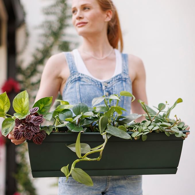 Bloem Dayton Window Box Planter: 24" - Image 2
