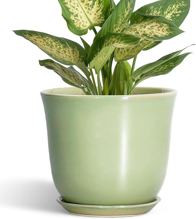 5.6 Inch Plant Pot by SUNPOTFOR