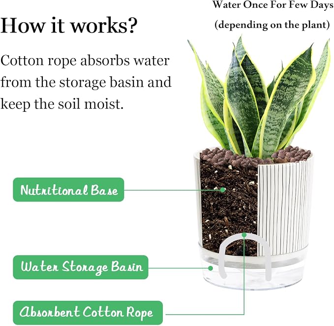 Self Watering Pots for Indoor Plants, 6 & 5 & 4 Inch Stylish Flower Pots - Image 6