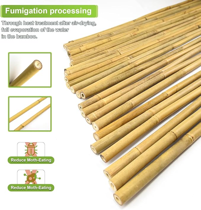 15pcs 3/4" D Thicker Heavy Duty Bamboo Stakes, 7FT Plant Stakes, Natural Garden - Image 3