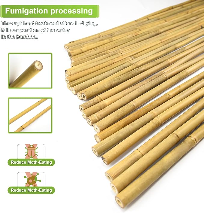 25pcs 1/2" D Thicker Heavy Duty Bamboo Stakes, 4FT Plant Stakes, Natural Garden - Image 3