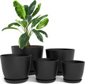 Utopia Home - Plant Pots Indoor - 7/6.6/6/5.3/4.8 Inches Flower Pots by UTOPIAHOME