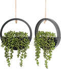 Floweroyal 2pcs Artificial Succulents Hanging Plants 12.2'' Fake String of by FloweroyalCrafts