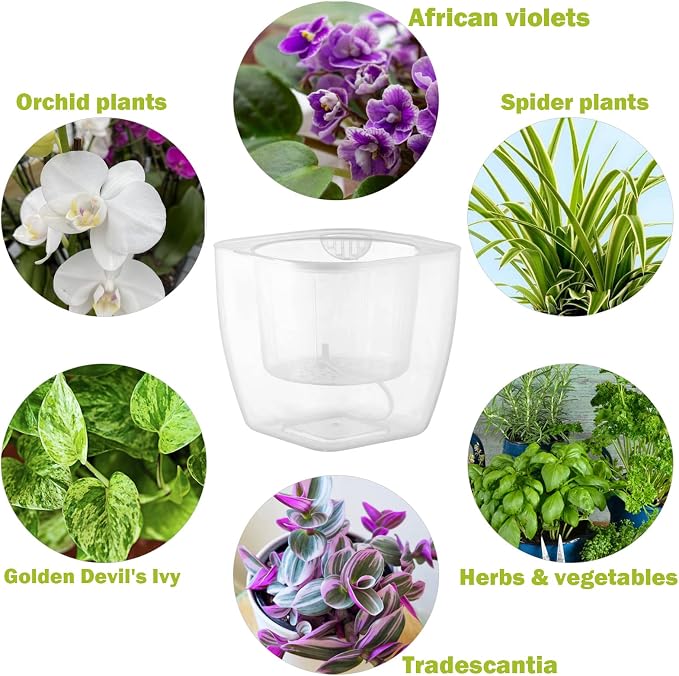 6-Pack 7 Inches Clear Self Watering Planters - Image 2