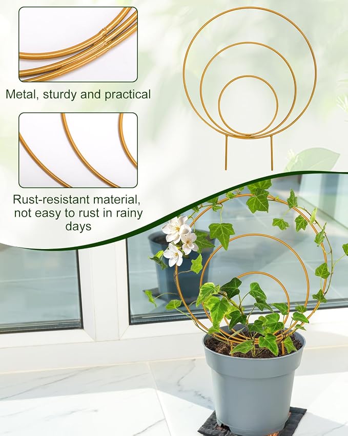 Unique Round Hoya Trellis, Garden Trellis Plant Support - Image 4