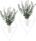Jexine 4 Pcs Hanging Planters by Jexine