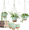 Larege Hanging Planters with Macrame Plant Hangers by Bouqlife
