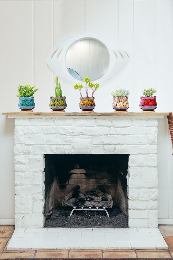 Cute Ceramic Succulent Garden Pots, Planter - Image 4