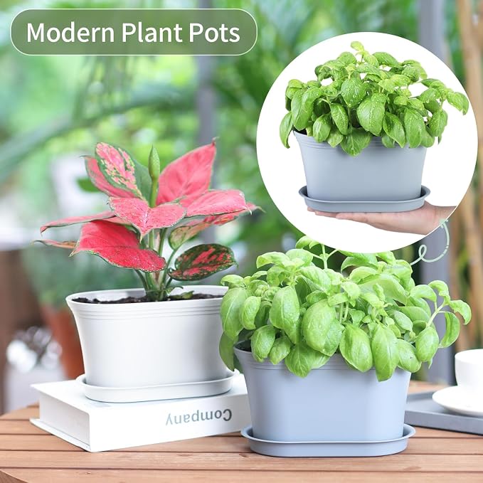 Windowsill Herb Garden Planter - Image 3