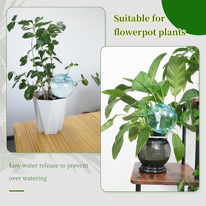 6pcs Large Plant Self Watering Globes, 17.5 oz Plastic Water Bulbs Top Fill - Image 5