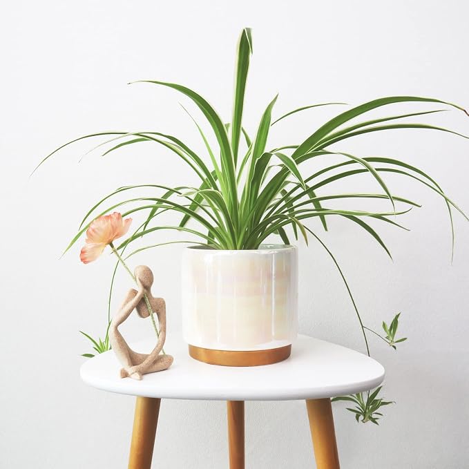Gepege White Indoor Pots for Plants, Ceramic Planter - Image 5