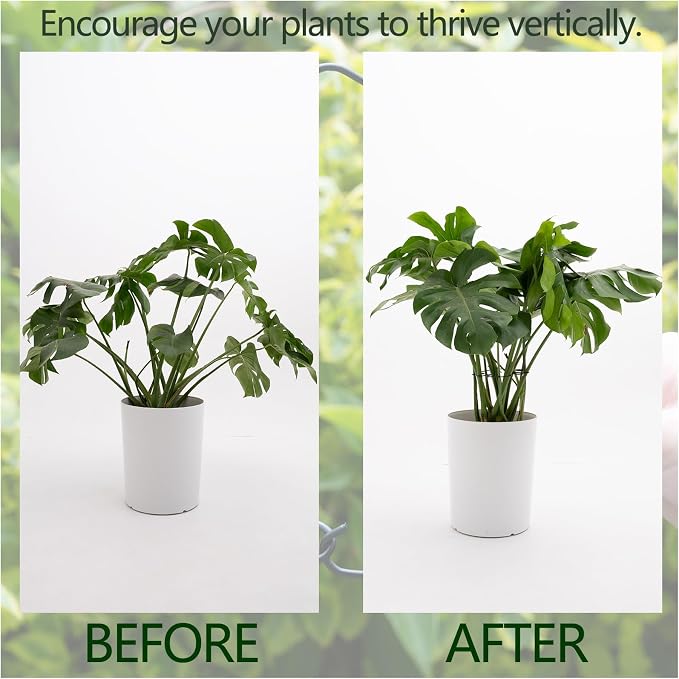 5PCS Monstera Plant Stem Support -7.3*6.25IN Adjustable Metal Stake - Image 3