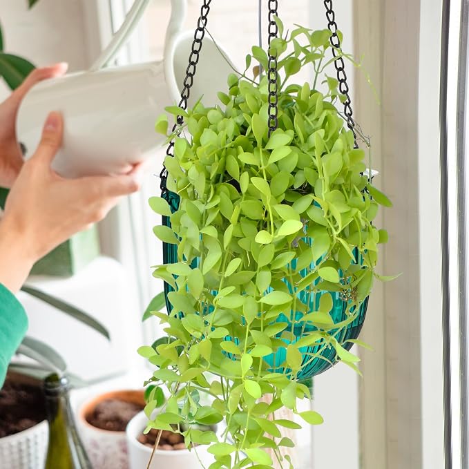 Maxcheck 4 Pcs Self Watering Hanging Planters Indoor Gift 6.5'' 4.5'' Hanging - Image 7