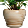 6 Inch Plant Pot Ceramic by Ceramicfor