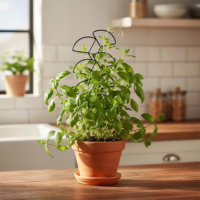 Plant Trellis for Climbing Plants Indoor Outdoor, Trlzey 3 Pack Stackable Metal - Image 8