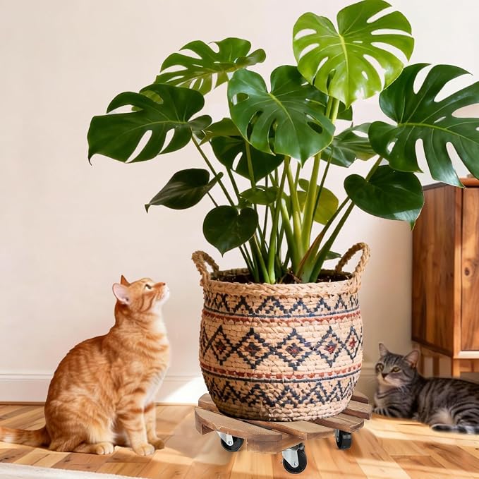 2 Pack Plant Stand with Wheels, Plant Caddies with 360° Lockable Smooth Sliding - Image 6
