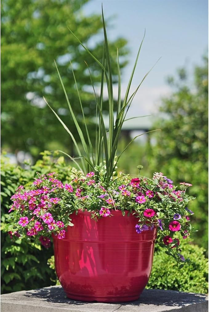 Garden Elements Indoor/Outdoor Glazed Brushed Happy Plastic Planter, Bright Pink - Image 5