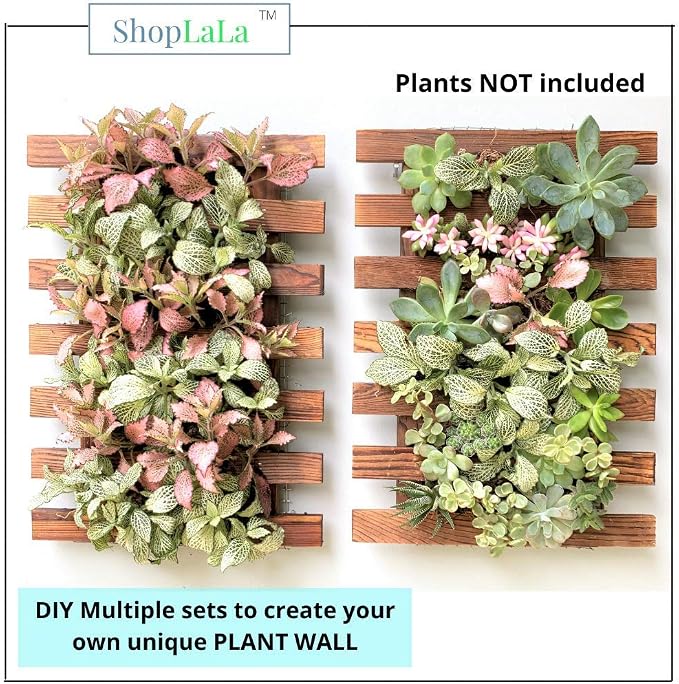 ShopLaLa Wall Planters - Image 6