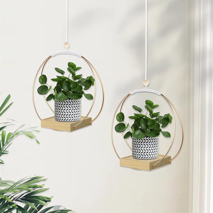 Hanging Planter for Indoor Plants, Plant Hanger - Image 2