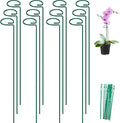 FEED GARDEN 36 Inch 12 Pack Plant Support Stakes, Metal Garden Flower Stakes by FEEDGARDEN