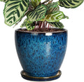 8 Inch Ceramic Planter Pot by EPFamily