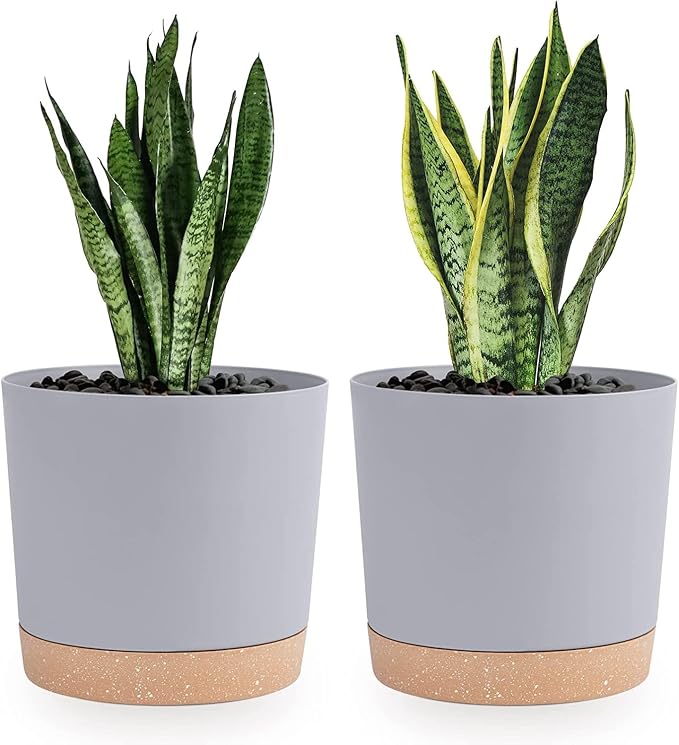 QCQHDU 8 inch Plant Pot, 2 Pack Planters by QCQHDU