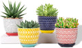 Selamica Ceramic Plant Pots, 4.6 Inch Flower Pots by Selamica