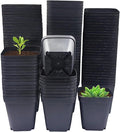 Square Nursery Pots 3" 120Pcs Deep Succulent Plastic Pots Small Flower Planter by RooTrimmer