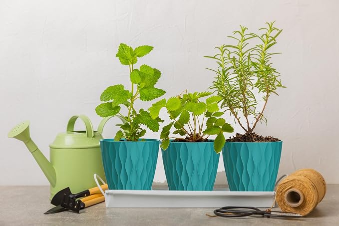 4 Inch Plant Pots, 6 Pack Indoor Flower Pots, Planters - Image 5