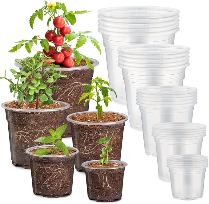 30 Pack 7/6/5/4/3 Inch Clear Nursery Pots by RooTrimmer