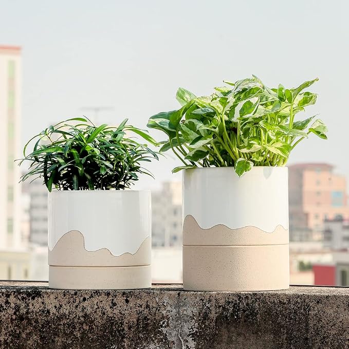 Nihow Ceramic Plant Pot: 6 Inch Planter - Image 5