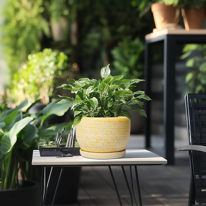 SQOWL Ceramic Flower Pots - Image 5