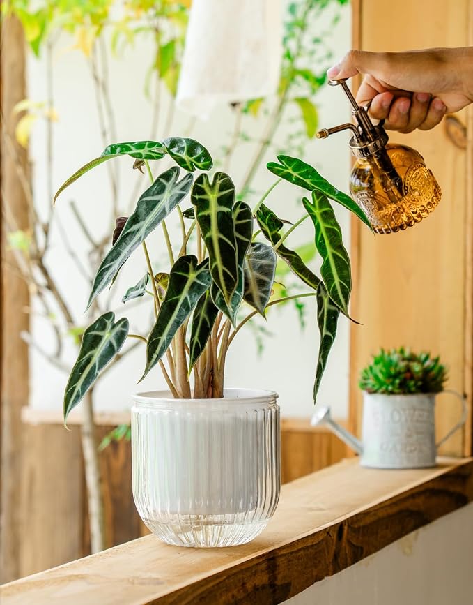 Melphoe Self Watering Pots for Indoor Plants Planter, 6.5/5.3 Inch 2 Pack - Image 5
