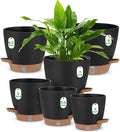 Self Watering Planter Set with Visual Water Level, Modern 8+7+6.5+6+5.5+5 Inch by Ezmixcoop